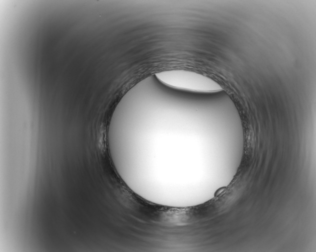 X0000096680138200802051037