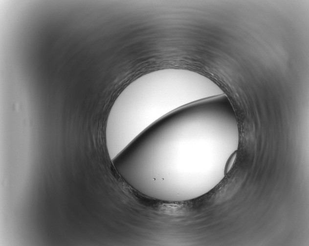 X0000096680139200802051037