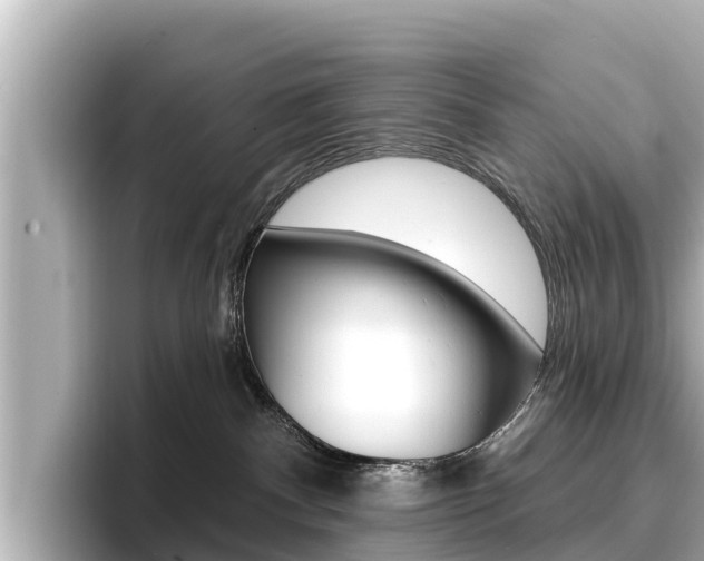 X0000096680140200802051037