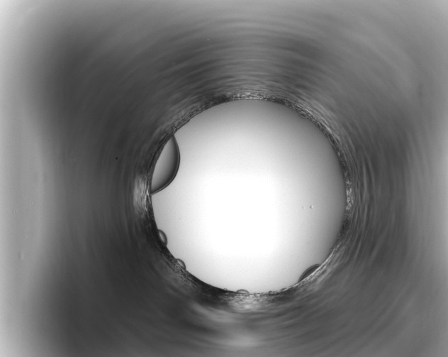X0000096680142200802051037