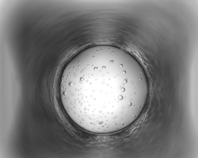 X0000096680145200802051036
