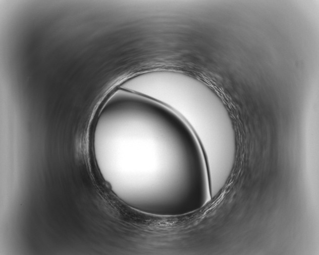 X0000096680148200802051037