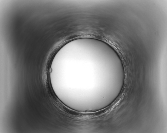 X0000096680149200802051037