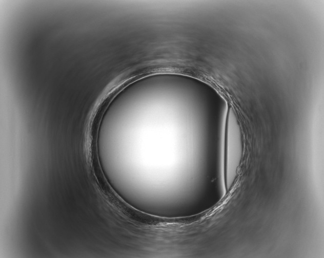 X0000096680150200802051037