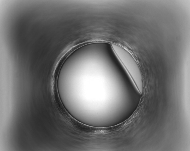 X0000096680152200802051037