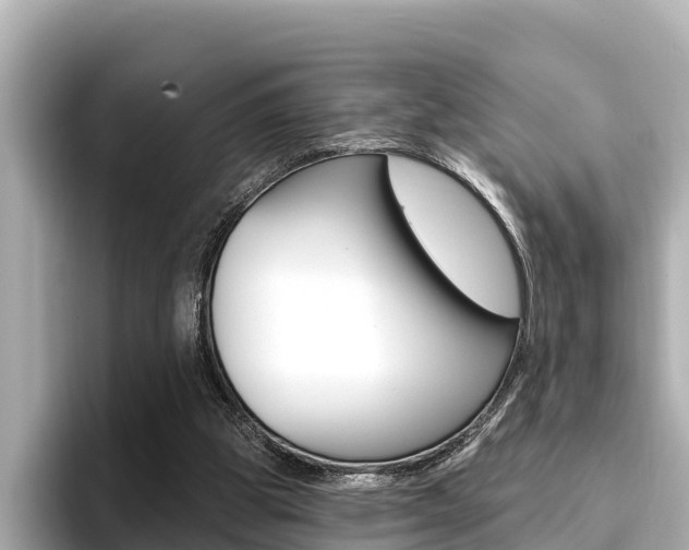 X0000096680153200802051037