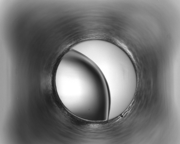 X0000096680154200802051037