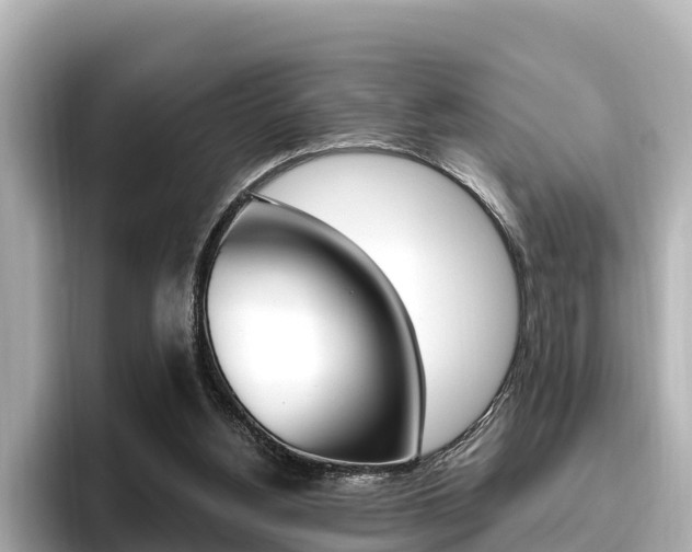 X0000096680156200802051037