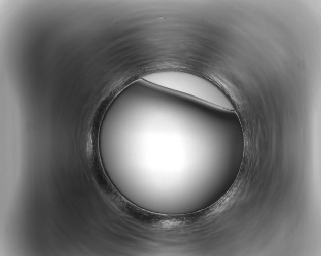 X0000096680158200802051037