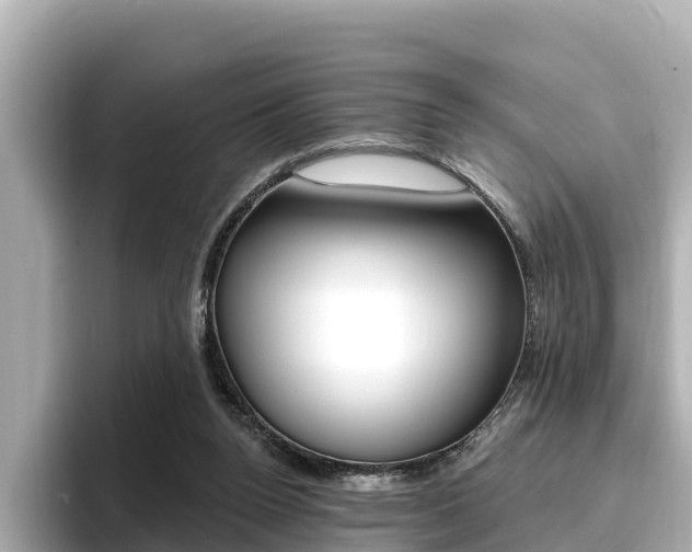 X0000096680160200802051037
