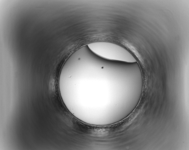 X0000096680161200802051037