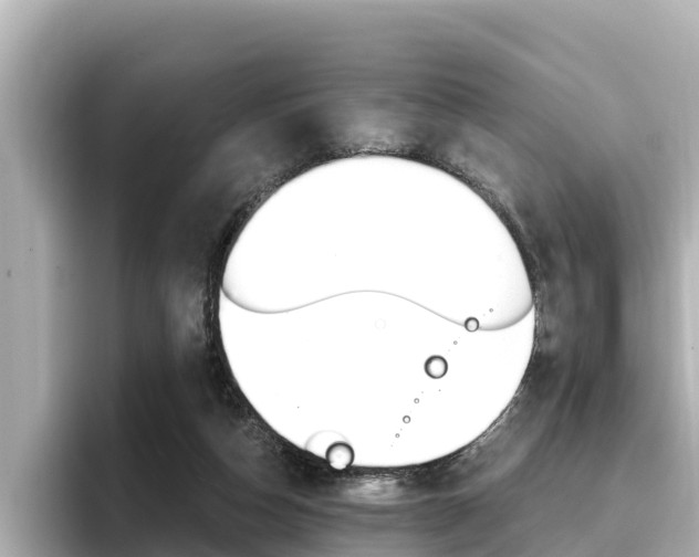 X0000096680162200802051037