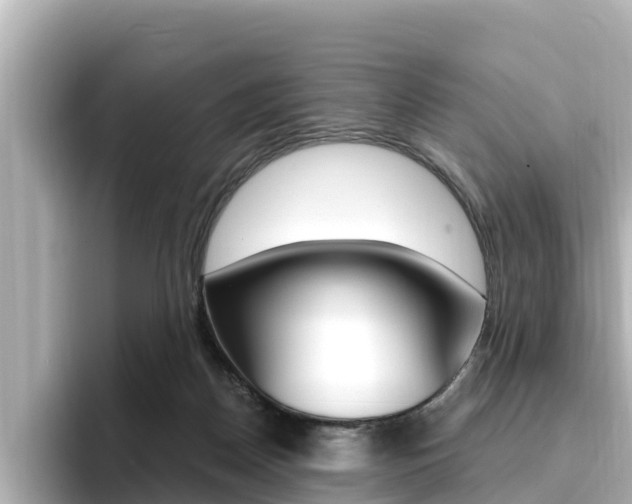 X0000096680170200802051037