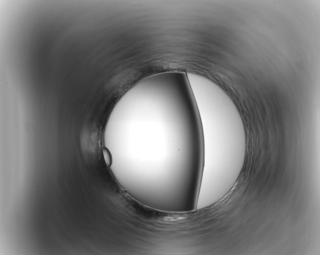 X0000096680172200802051037