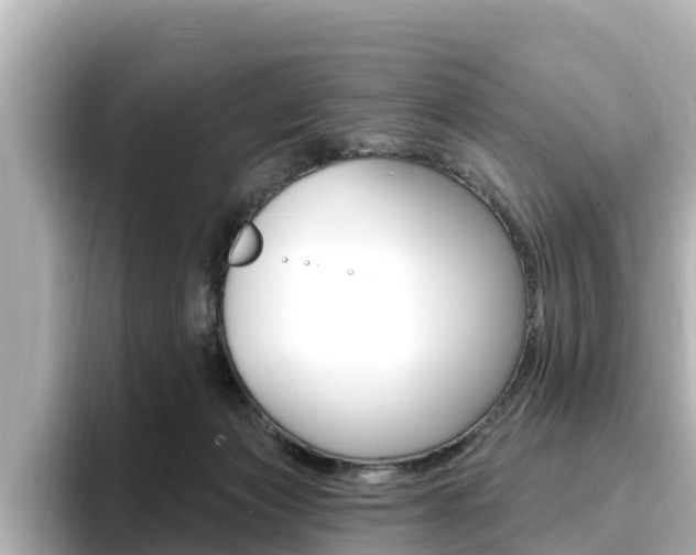 X0000096680173200802051037
