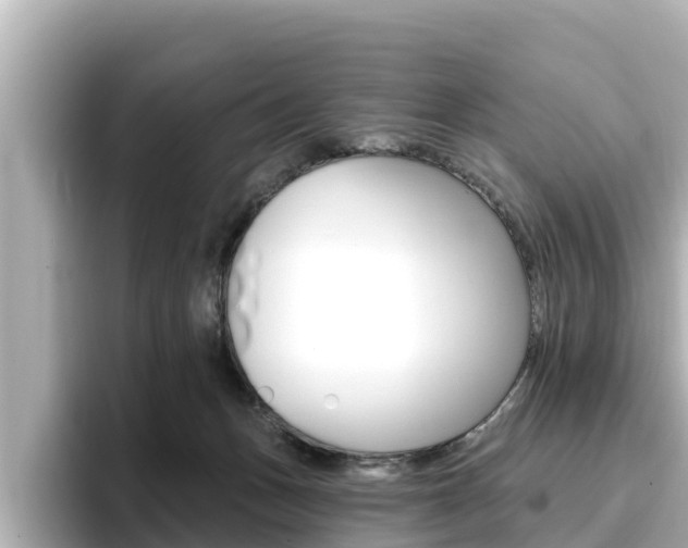 X0000096680175200802051037