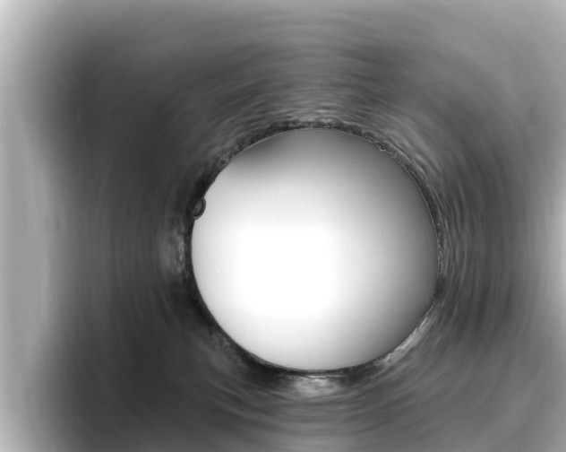 X0000096680183200802051037