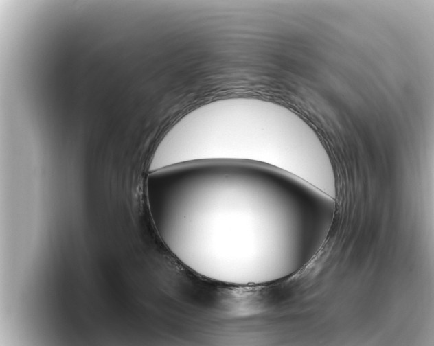 X0000096680184200802051037