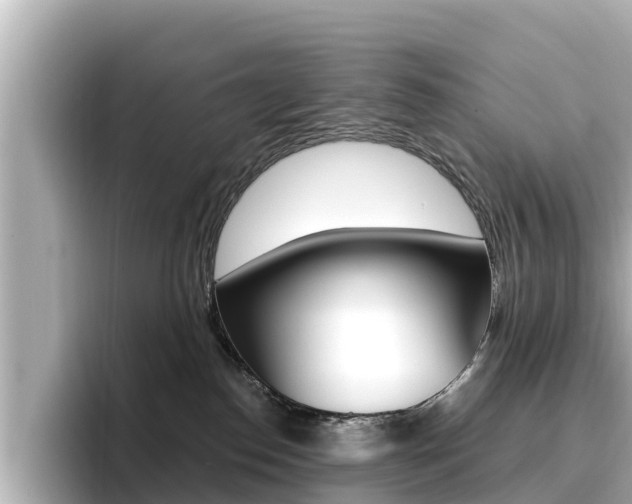 X0000096680186200802051037