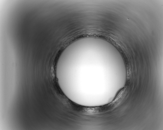 X0000096680187200802051037