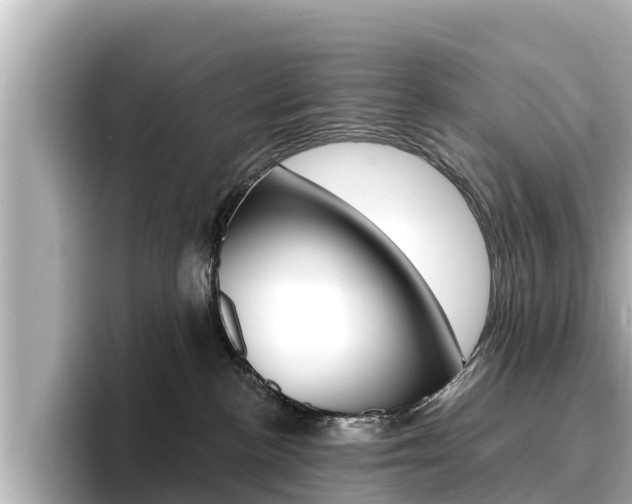 X0000096680188200802051037