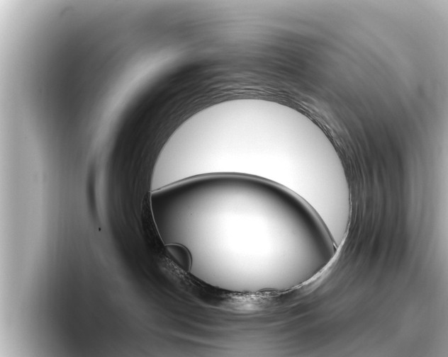 X0000096680190200802051037