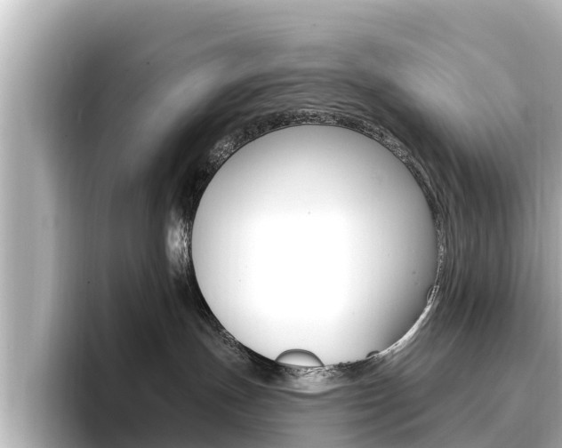 X0000096680191200802051037