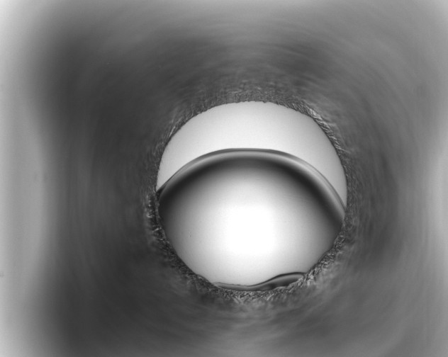 X0000096680192200802051037