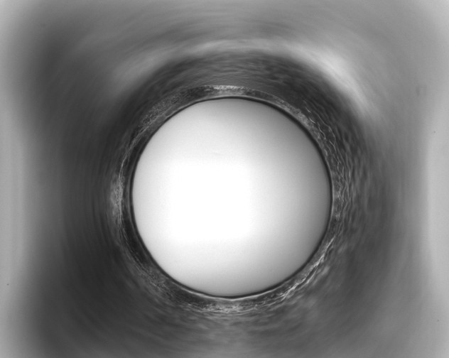 X0000096680194200802051036