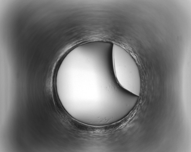 X0000096680196200802051036
