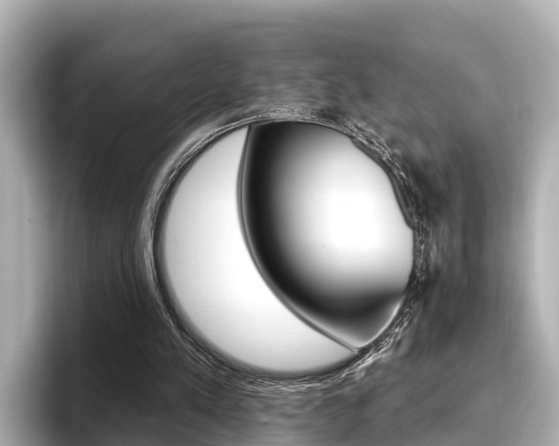 X0000096680197200802051036