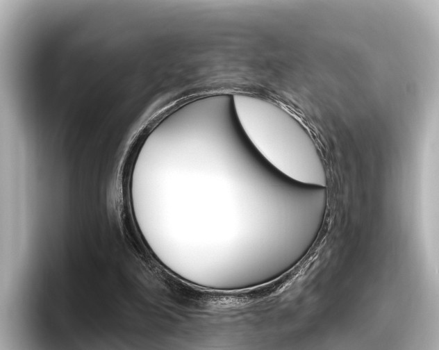 X0000096680198200802051036