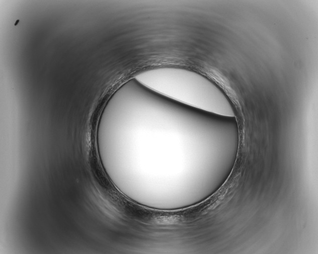 X0000096680202200802051036