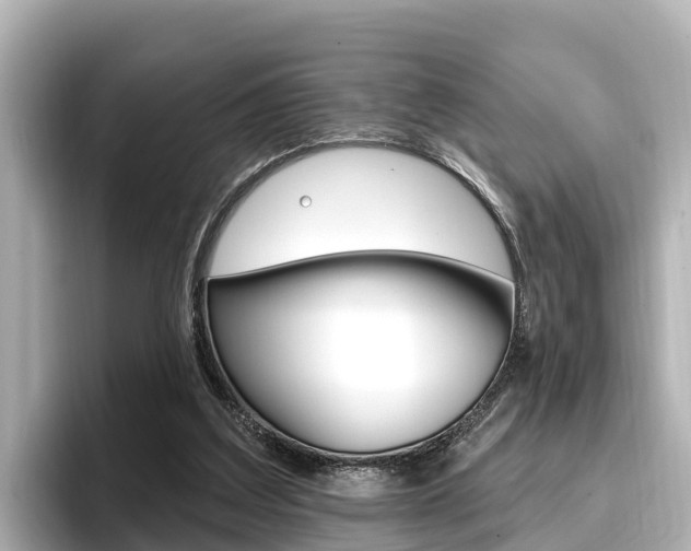 X0000096680203200802051036