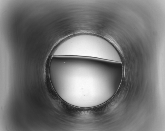 X0000096680204200802051036