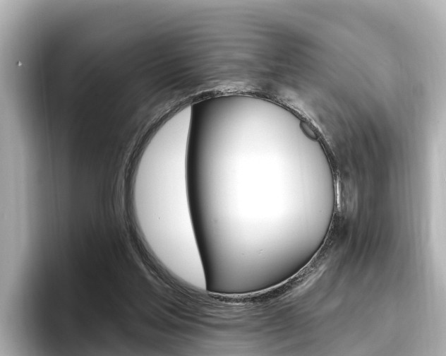 X0000096680205200802051036