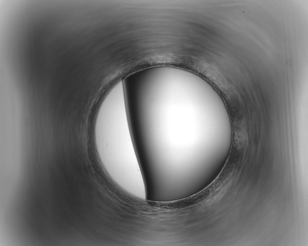X0000096680207200802051036