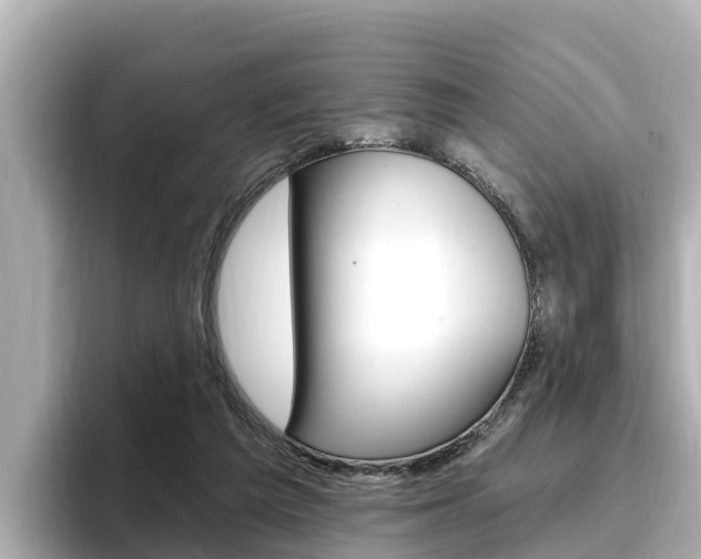 X0000096680209200802051036