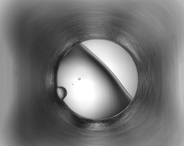X0000096680212200802051036