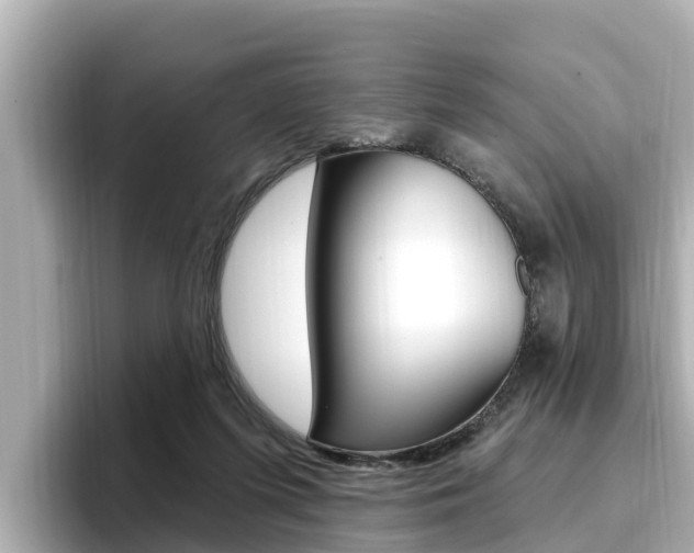 X0000096680215200802051036