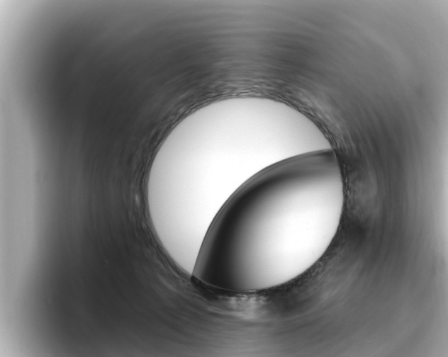 X0000096680225200802051036