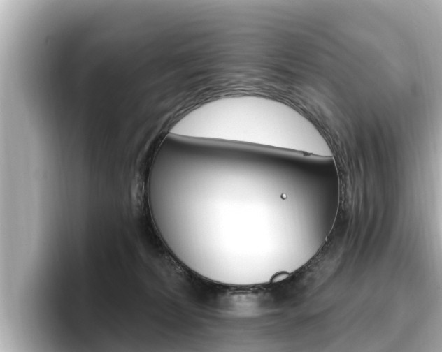 X0000096680228200802051036