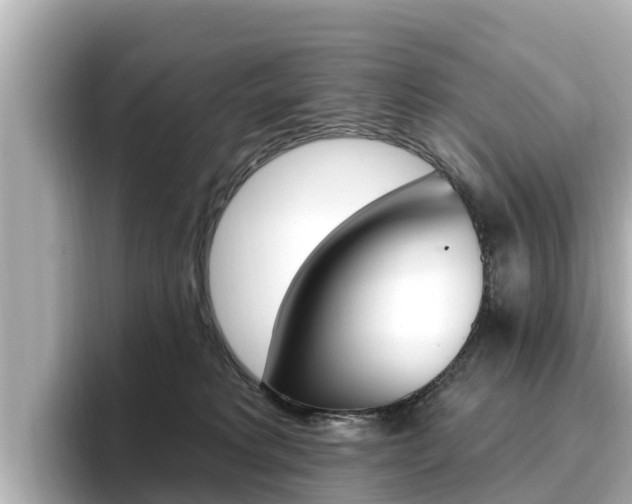 X0000096680229200802051036