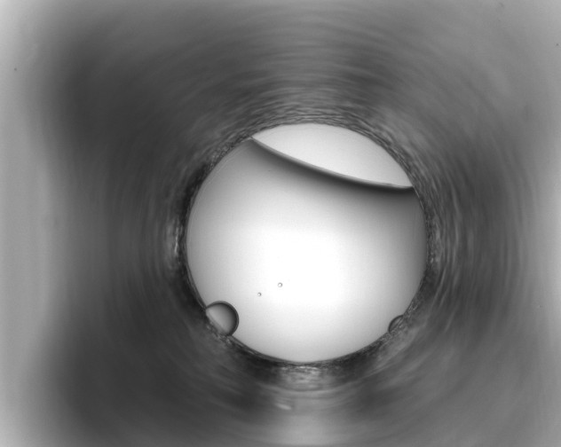 X0000096680230200802051036
