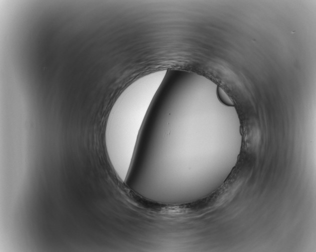 X0000096680231200802051036