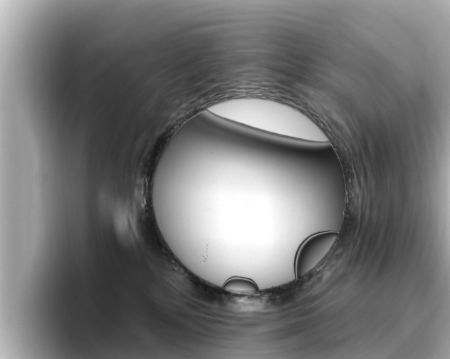 X0000096680232200802051036