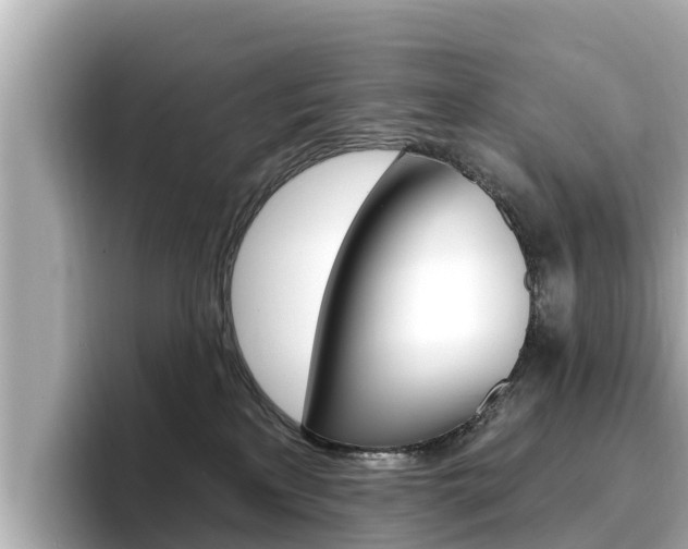 X0000096680233200802051036