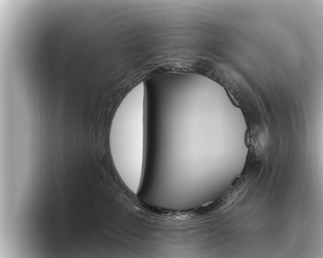 X0000096680235200802051036