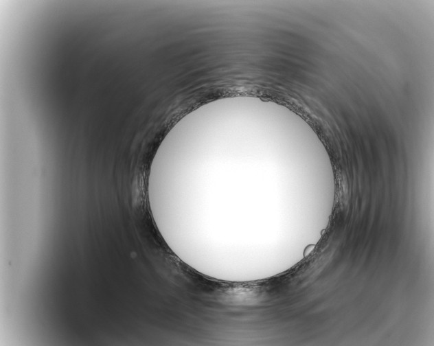X0000096680236200802051036