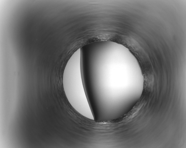 X0000096680237200802051036